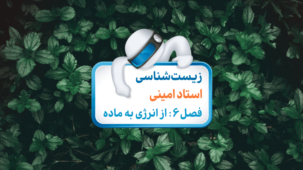 زیست دوازدهم فصل ششم گفتار سه: فتوسنتز در گیاهان c4