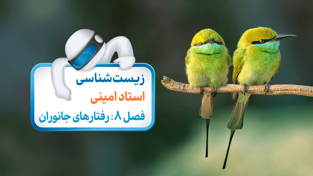 زیست دوازدهم فصل هشتم گفتار دوم: انتخاب طبیعی و رفتار