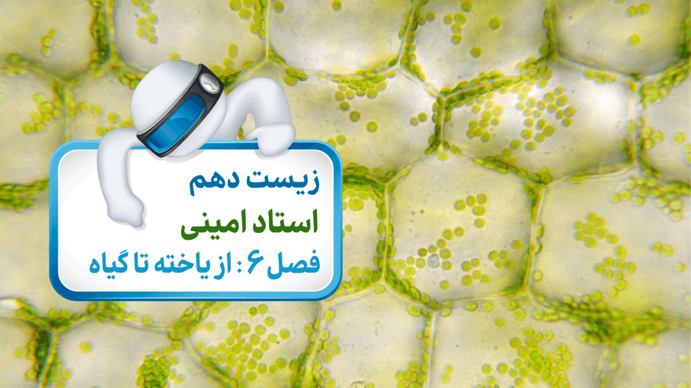زیست دهم فصل ششم گفتار اول: ویژگی های یاخته گیاهی