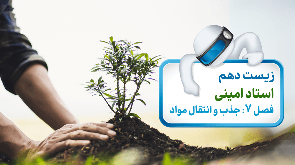 تغذیه گیاهی