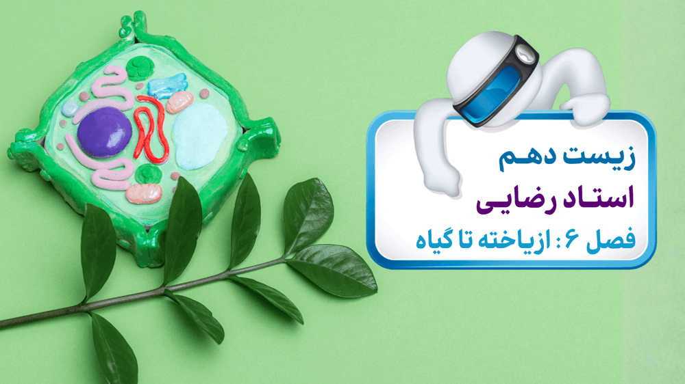 فصل ششم: شکل یازدهم فصل ششم