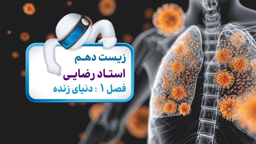 فصل دوم: شکل نوزدهم فصل دوم