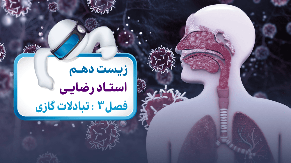 فصل سوم: شکل دوم فصل سوم
