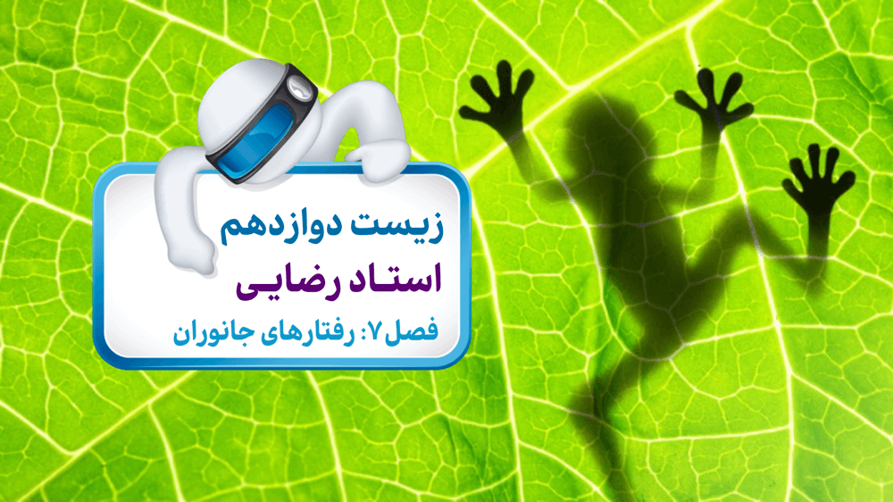 شکل چهارم فصل هفتم
